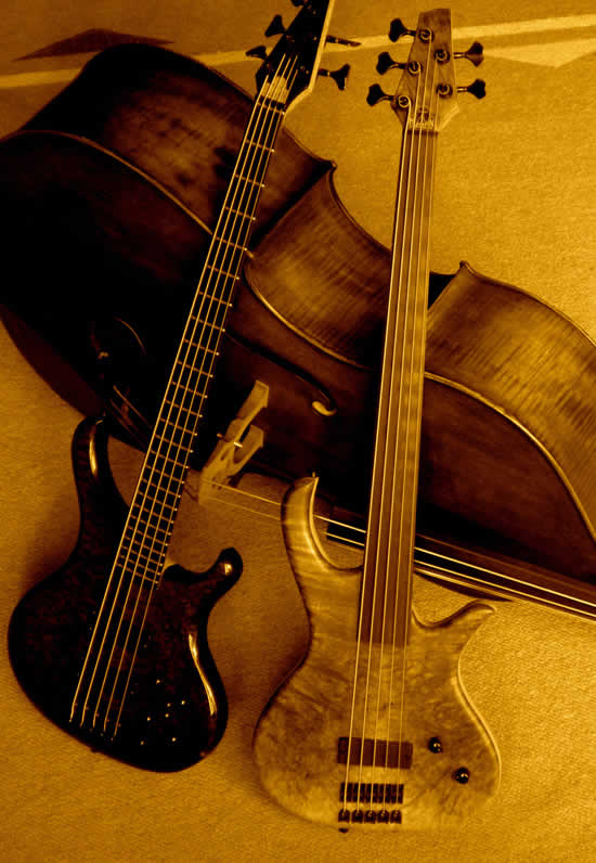 Bass Professor Bass Beauty Contest 2011 Bass Professor Bass Beauty Contest 2011