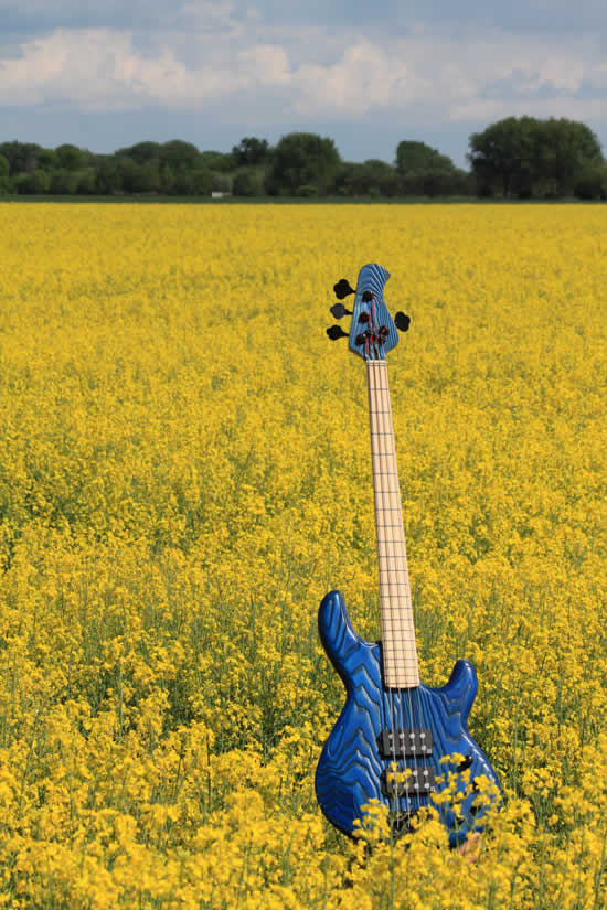 Bass Professor Bass Beauty Contest 2011 Bass Professor Bass Beauty Contest 2011
