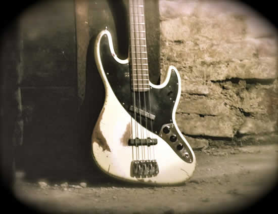 Bass Professor Bass Beauty Contest 2011 Bass Professor Bass Beauty Contest 2011