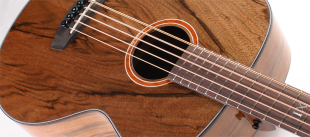 Bass Professor Test: Ortega D3NC-5 