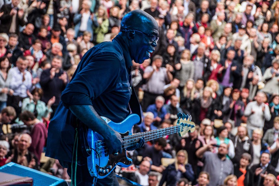 Bass Professor 5/2016, Ausgabe 87. Story: Ken Taylor