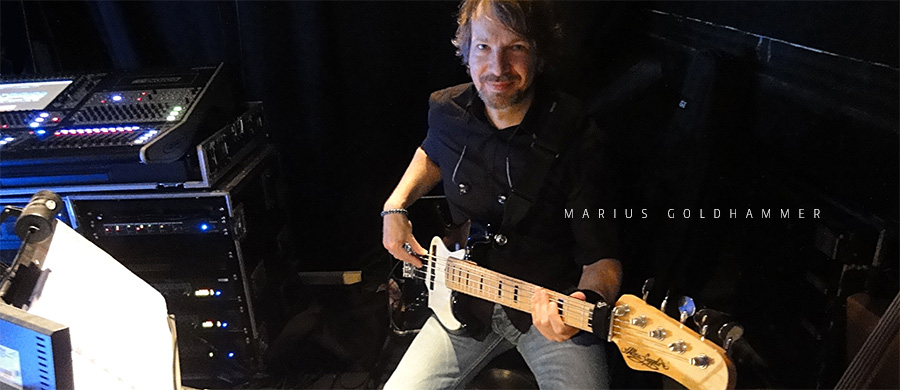 Bass Professor 1/2017; Story: Marius Goldhammer