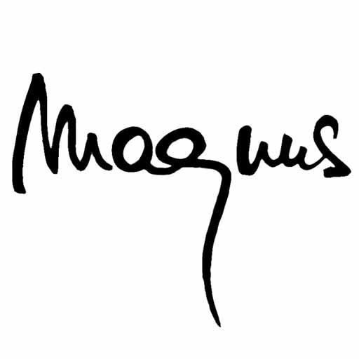 Bass Professor 1/2016, Bassbauer im Gespräch: Magnus Krempel (Magnus Guitars, Löwenherz, Kristall)