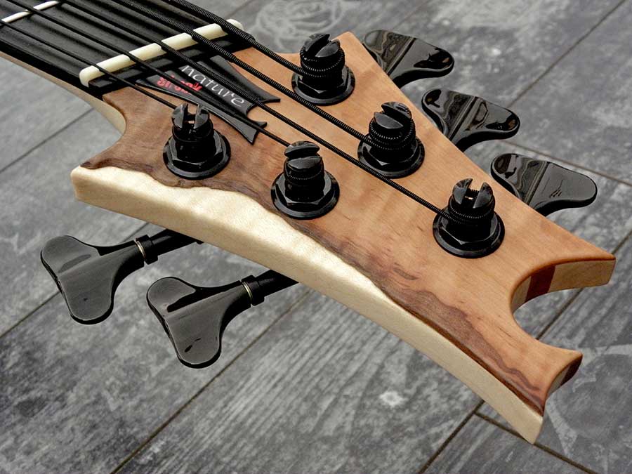Bass Professor 5/2018, Test: NATURE SHOCK Full range Multiscale „Worn & Torn“ 5-String