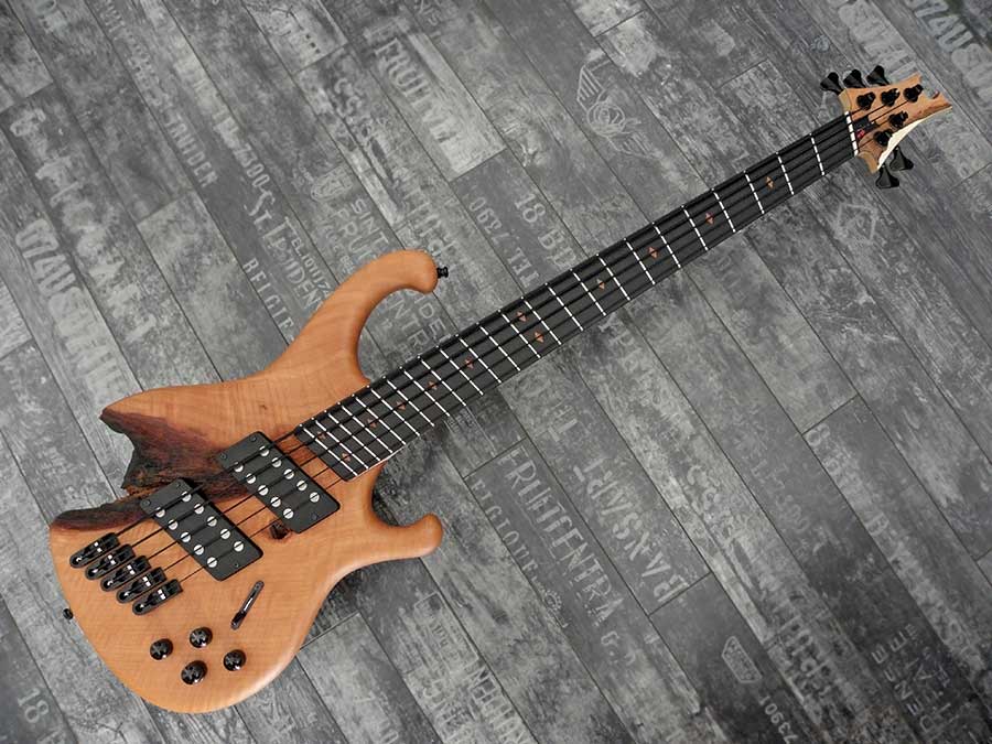 Bass Professor 5/2018, Test: NATURE SHOCK Full range Multiscale „Worn & Torn“ 5-String