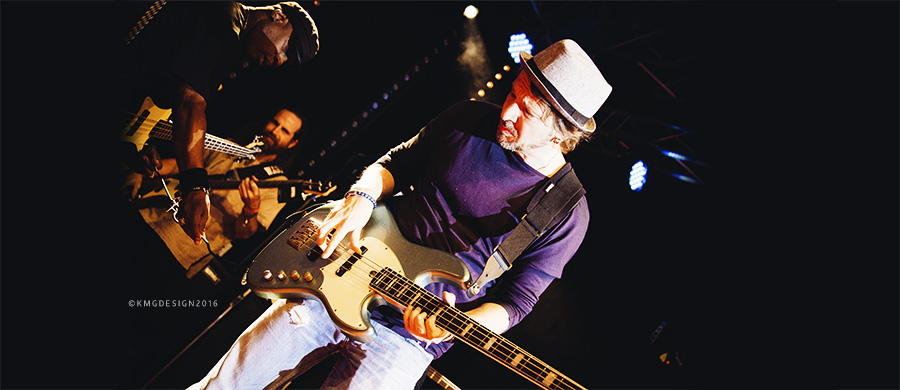 Bass Professor 4/2019, Ausgabe 100, Studiobassisten: Marius Goldhammer